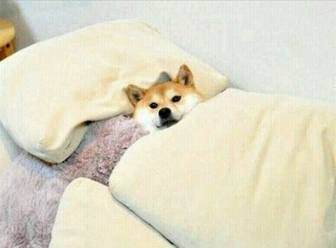 청파책가도 이미지