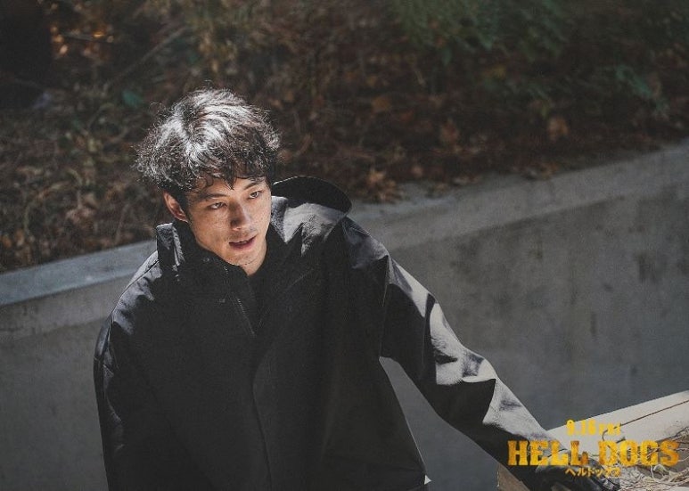카독스 이미지