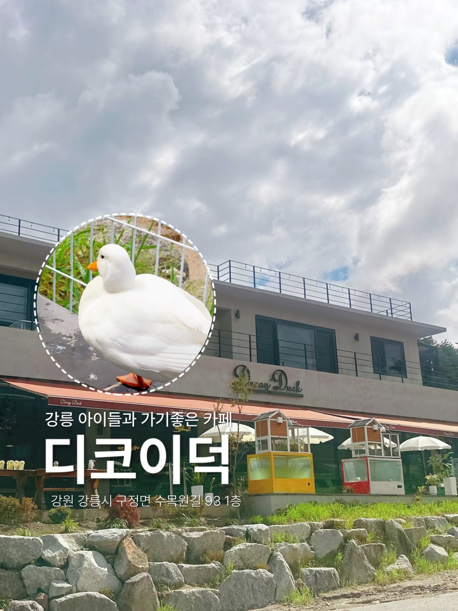 디코이덕 이미지
