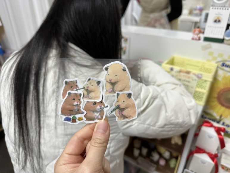 담솜 이미지