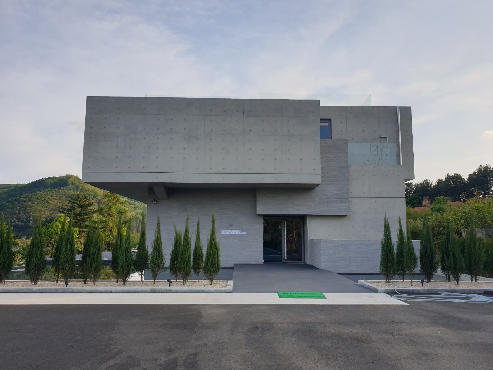 골든트리 이미지