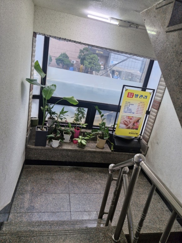 중국전통발관리 이미지