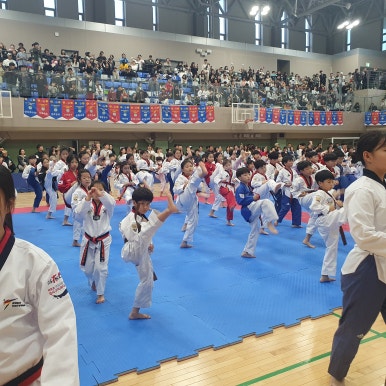 국가대표태권스쿨 이미지