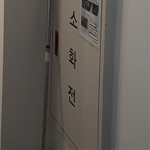 김이태안과 이미지