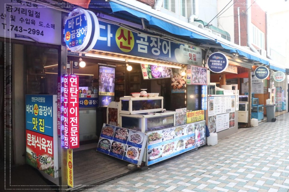 바다산곰장어 이미지