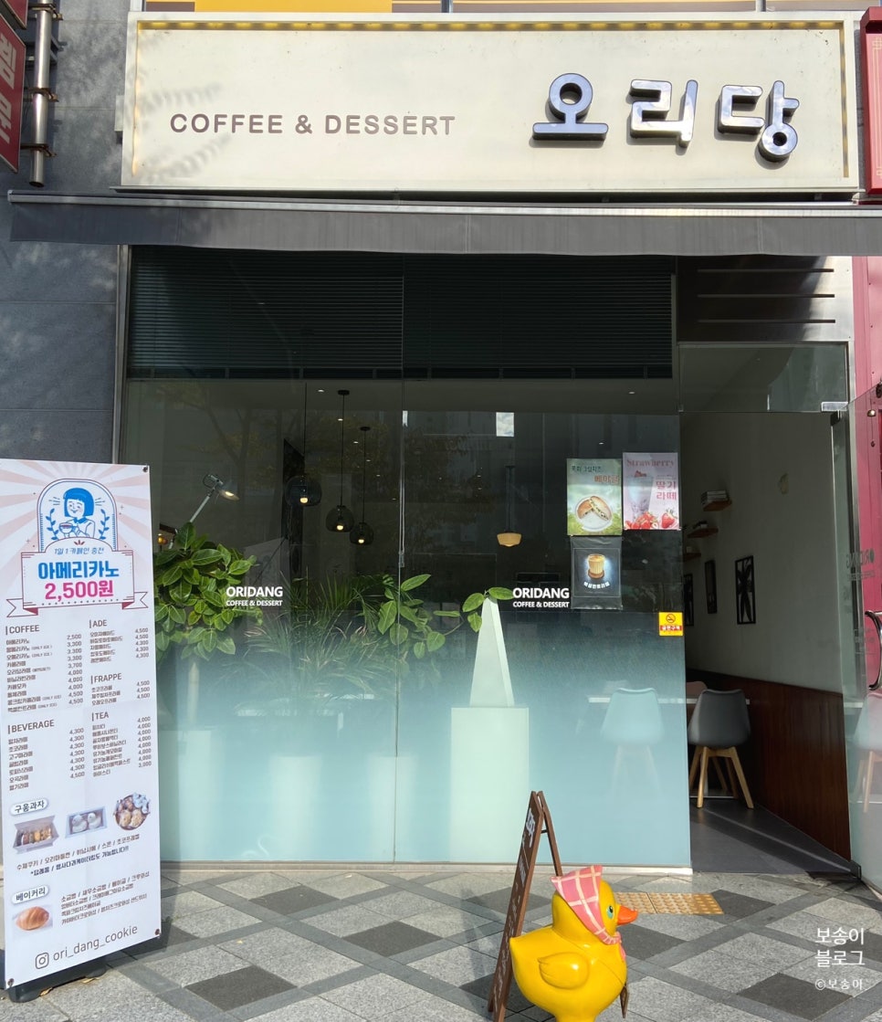 오리당 이미지