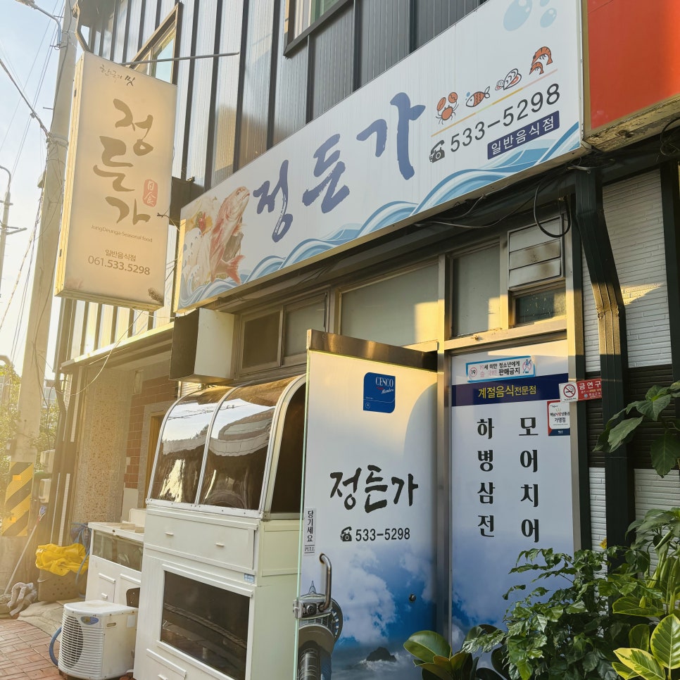 정든가 이미지