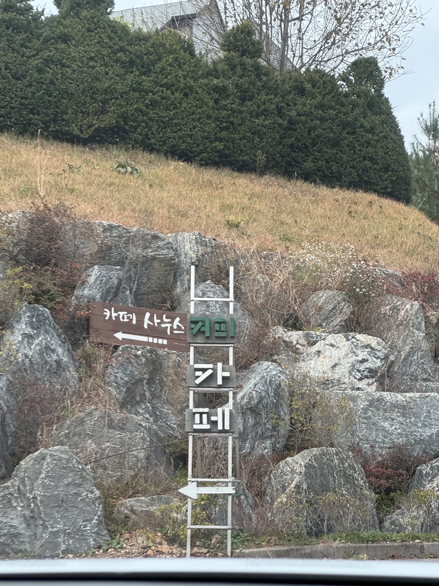 카페사누스 이미지