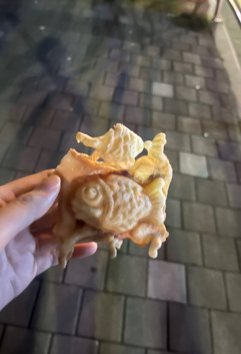 카페니모 이미지