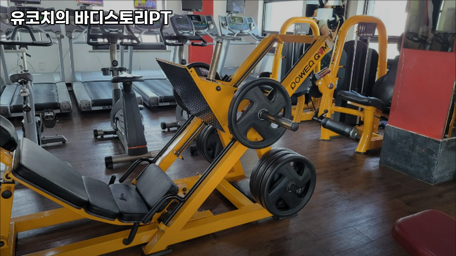 유코치의바디스토리PT 이미지