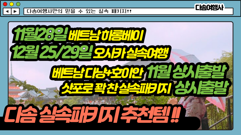 다솜여행사 이미지