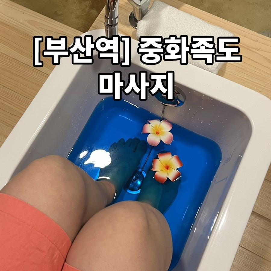 중화족도 이미지