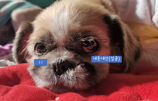 투썸플레이스출장소점 이미지