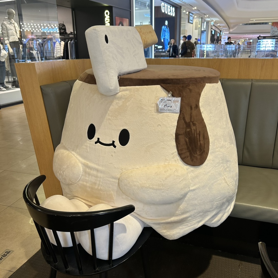 아레나스타필드고양 이미지