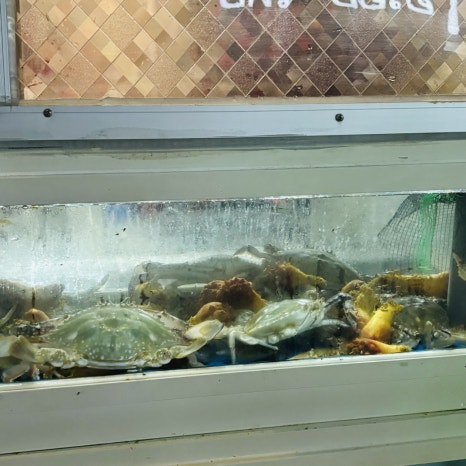 정든가 이미지