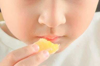 아빠의 달콤한 농장 이미지