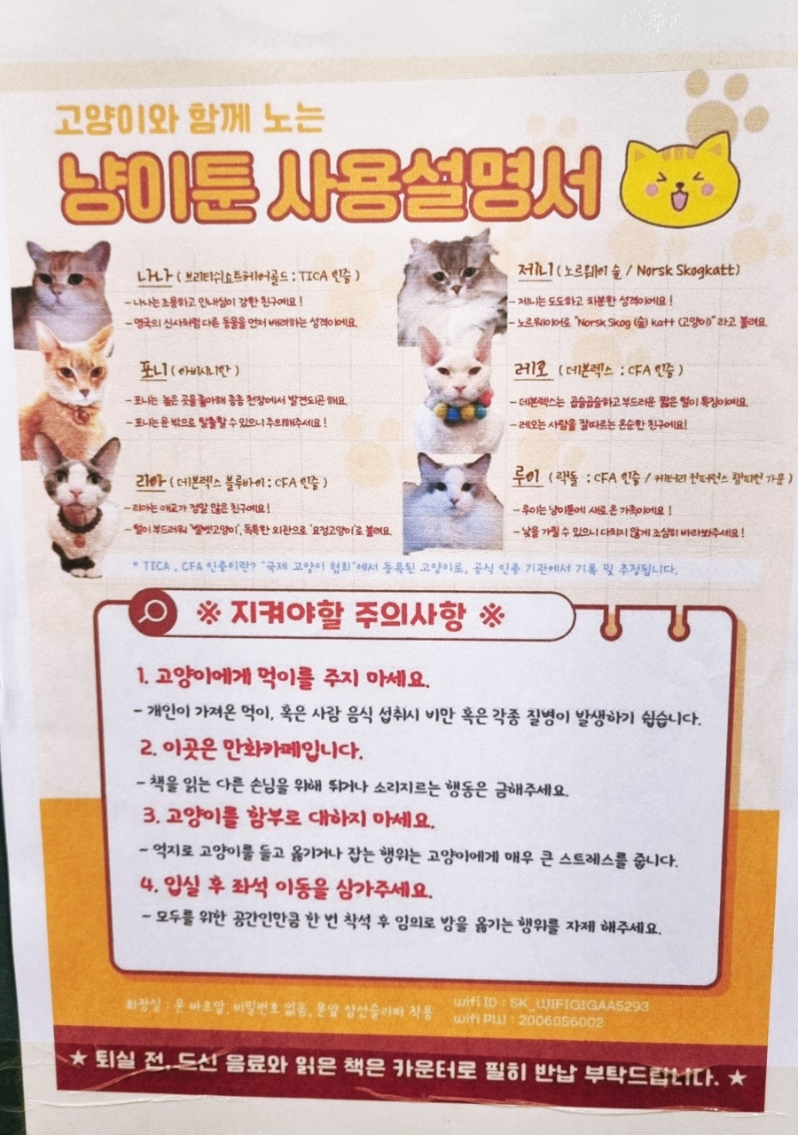 냥이툰 이미지