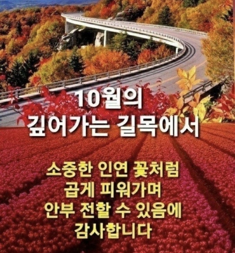뒤에있다 이미지