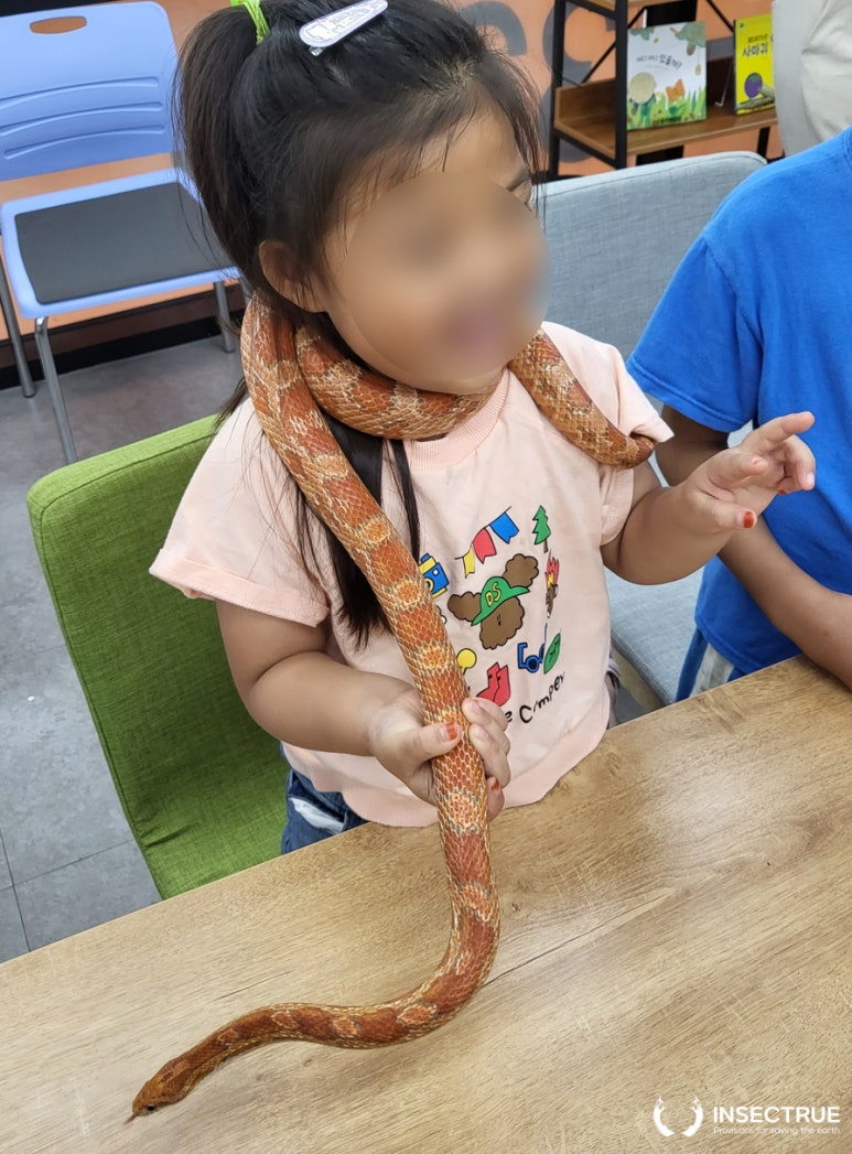 웅진북클럽포항사업국 이미지