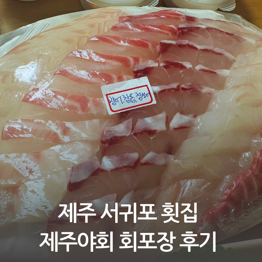 제주야회 이미지