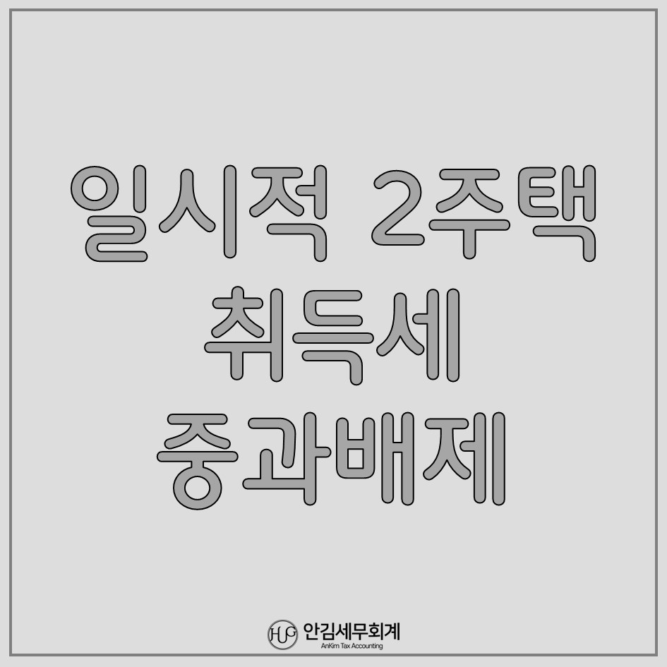 안김세무회계 이미지