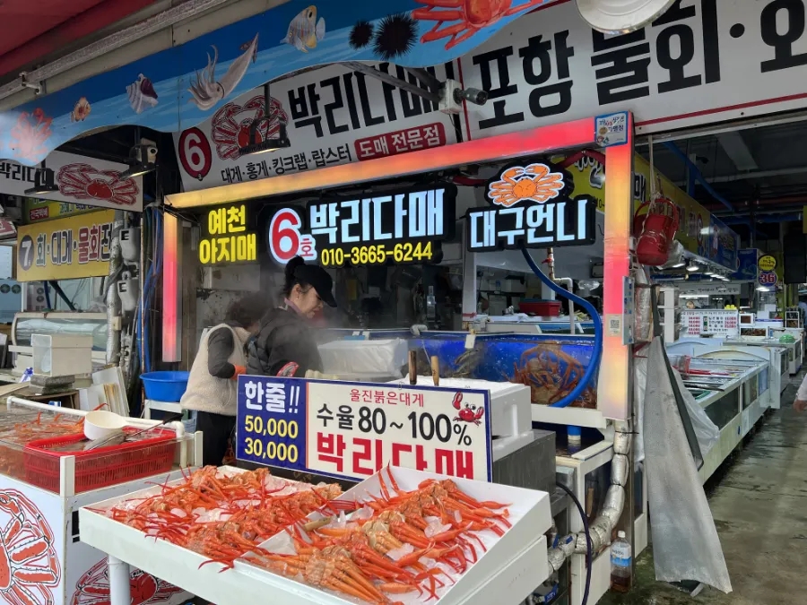 6호박리다매 이미지