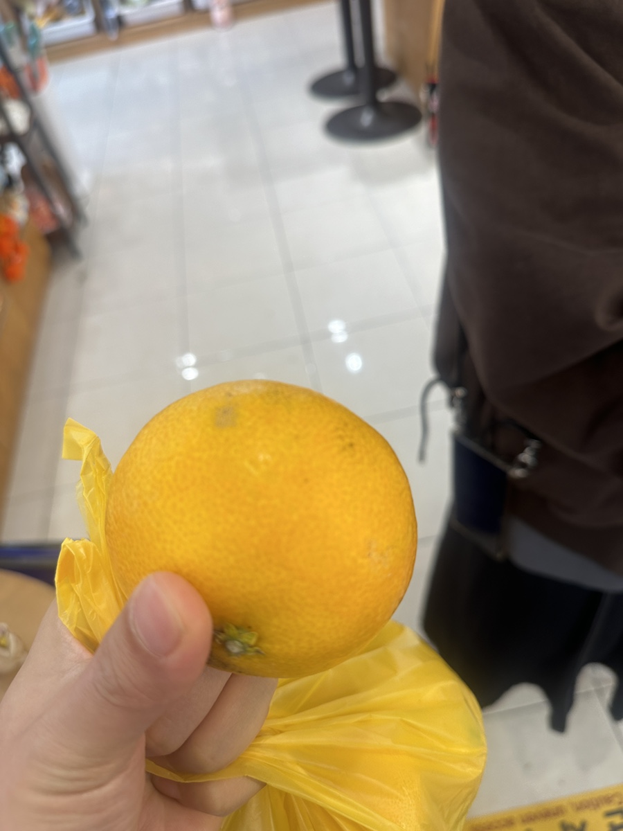 제미니마켓 이미지