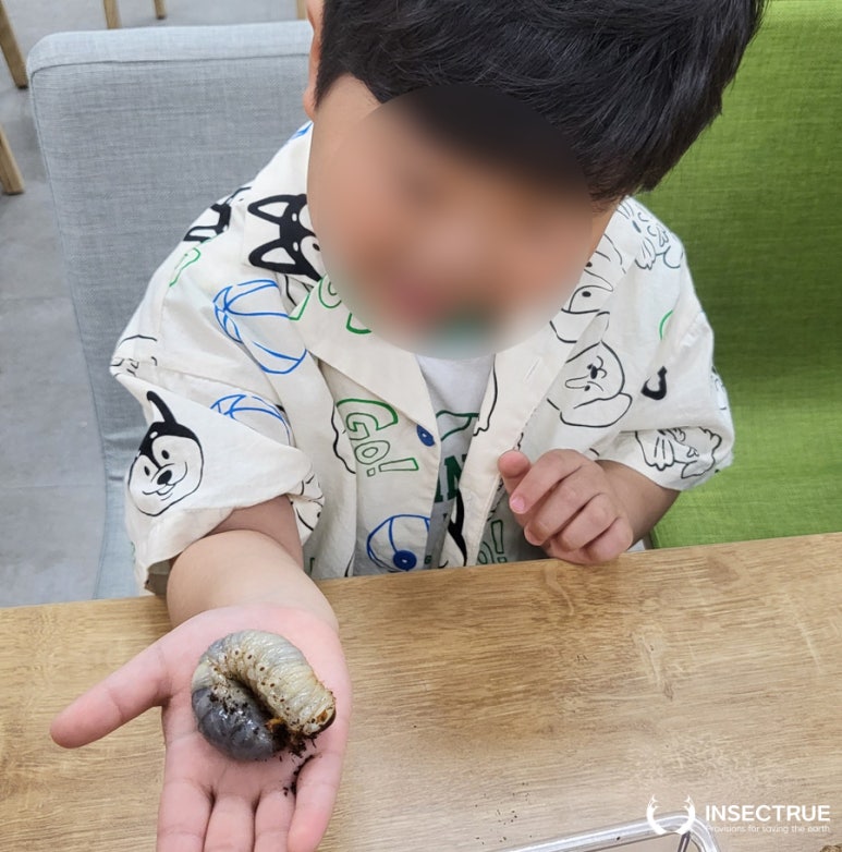 웅진북클럽포항사업국 이미지