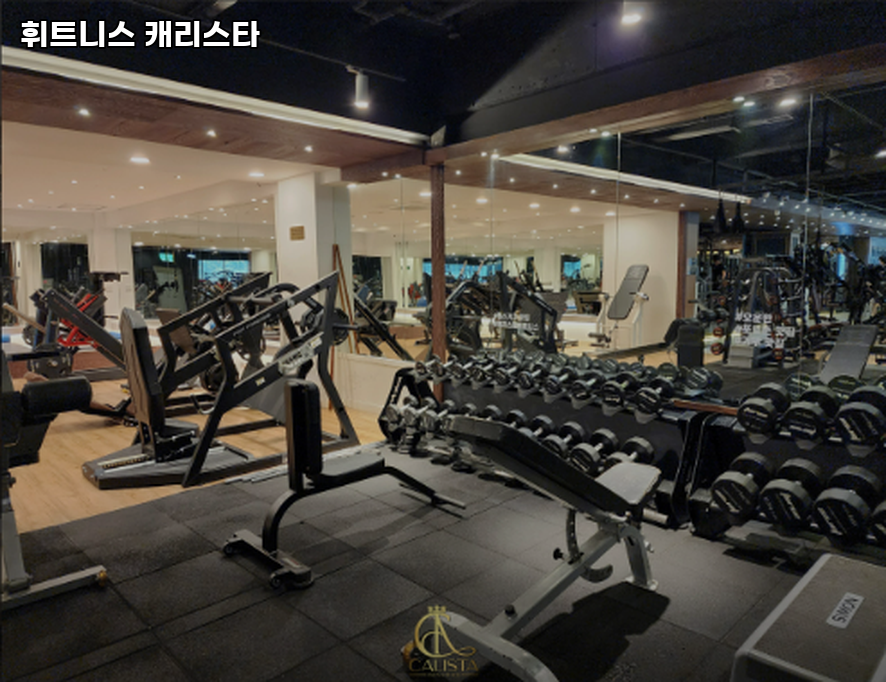 캐리스타휘트니스 이미지