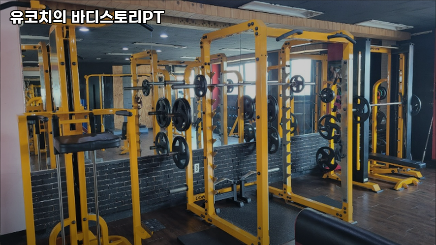 유코치의바디스토리PT 이미지