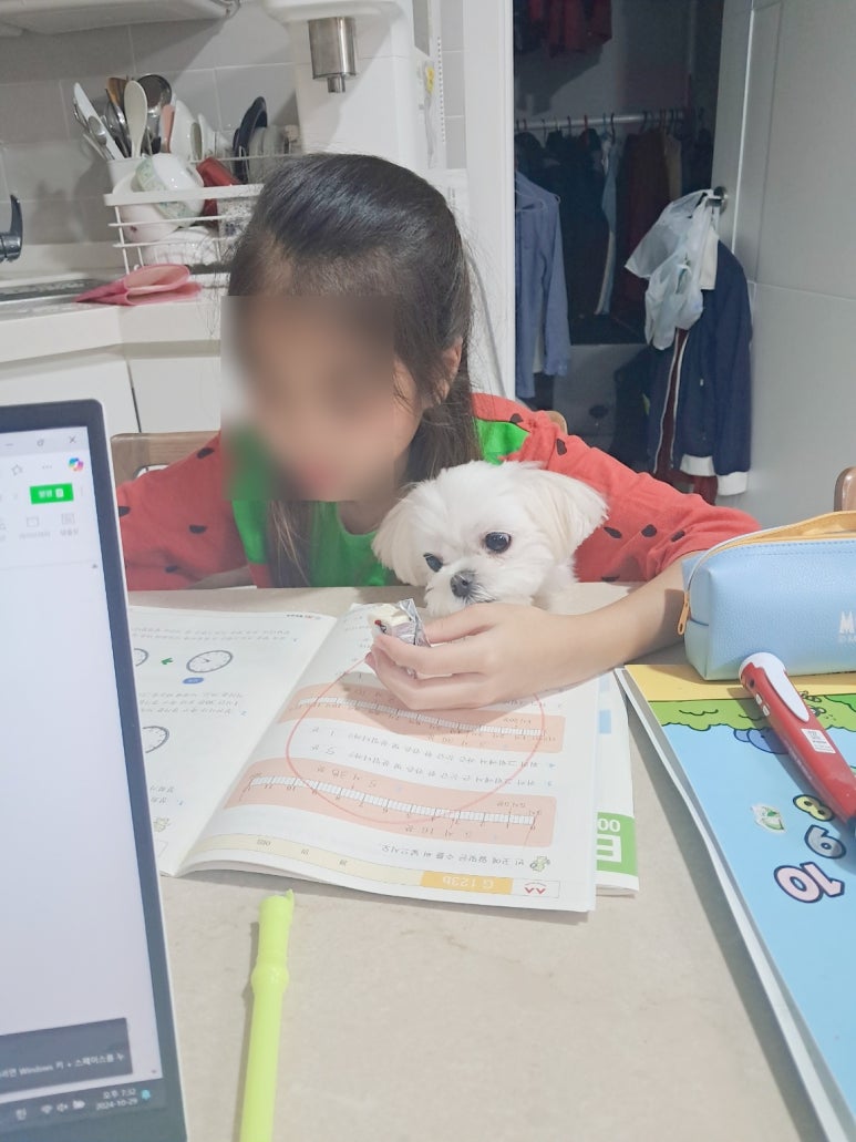 네일쿠모 이미지