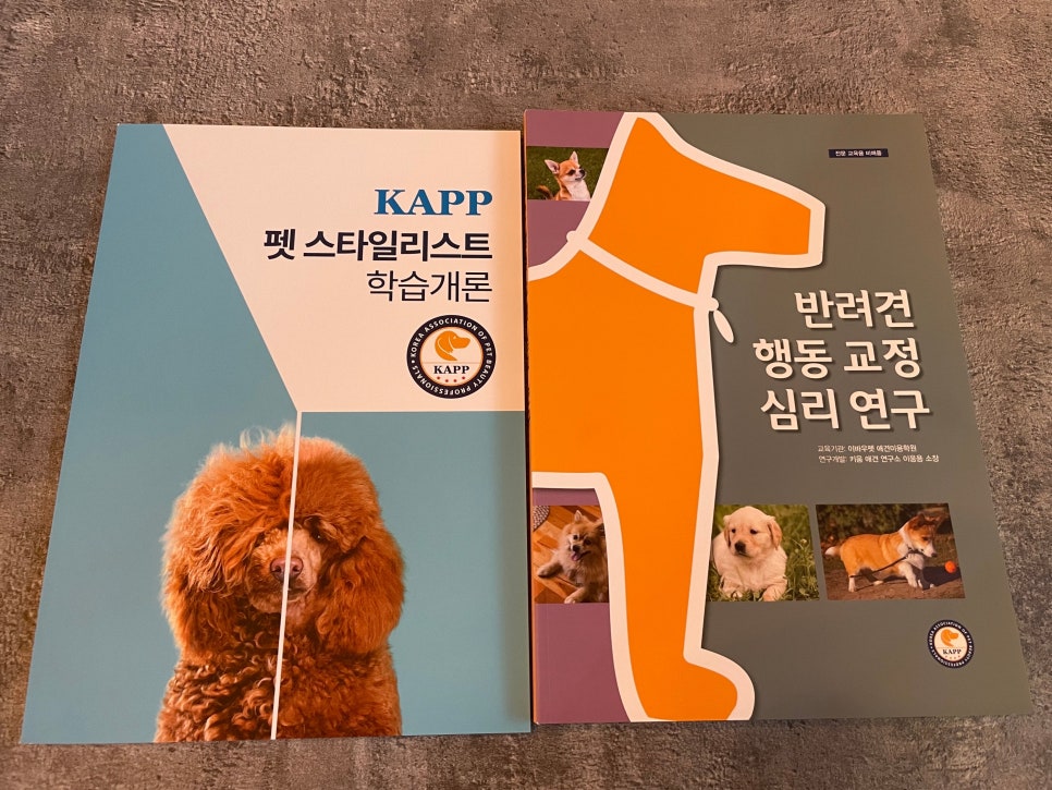 지니펫애견미용학원 이미지