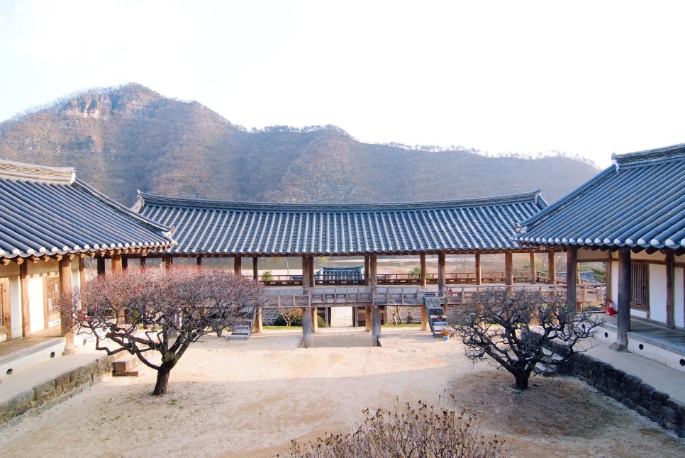 송계헌 이미지