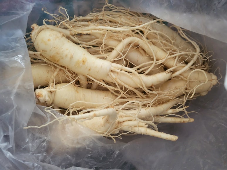 자양축산 이미지