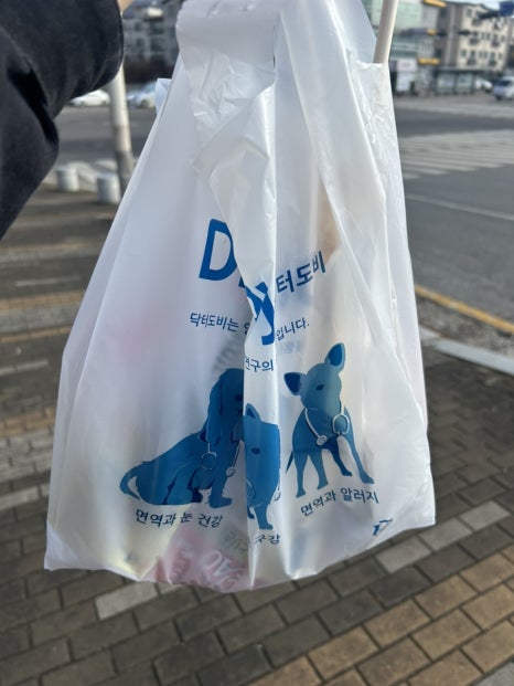 돌석이네 이미지