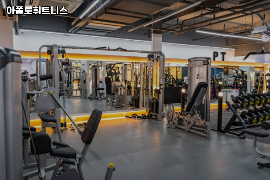 아폴로휘트니스 이미지