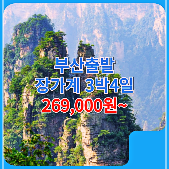 대성여행사 이미지