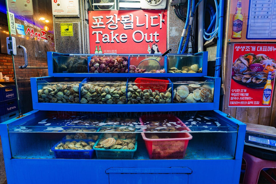 생생조개 이미지