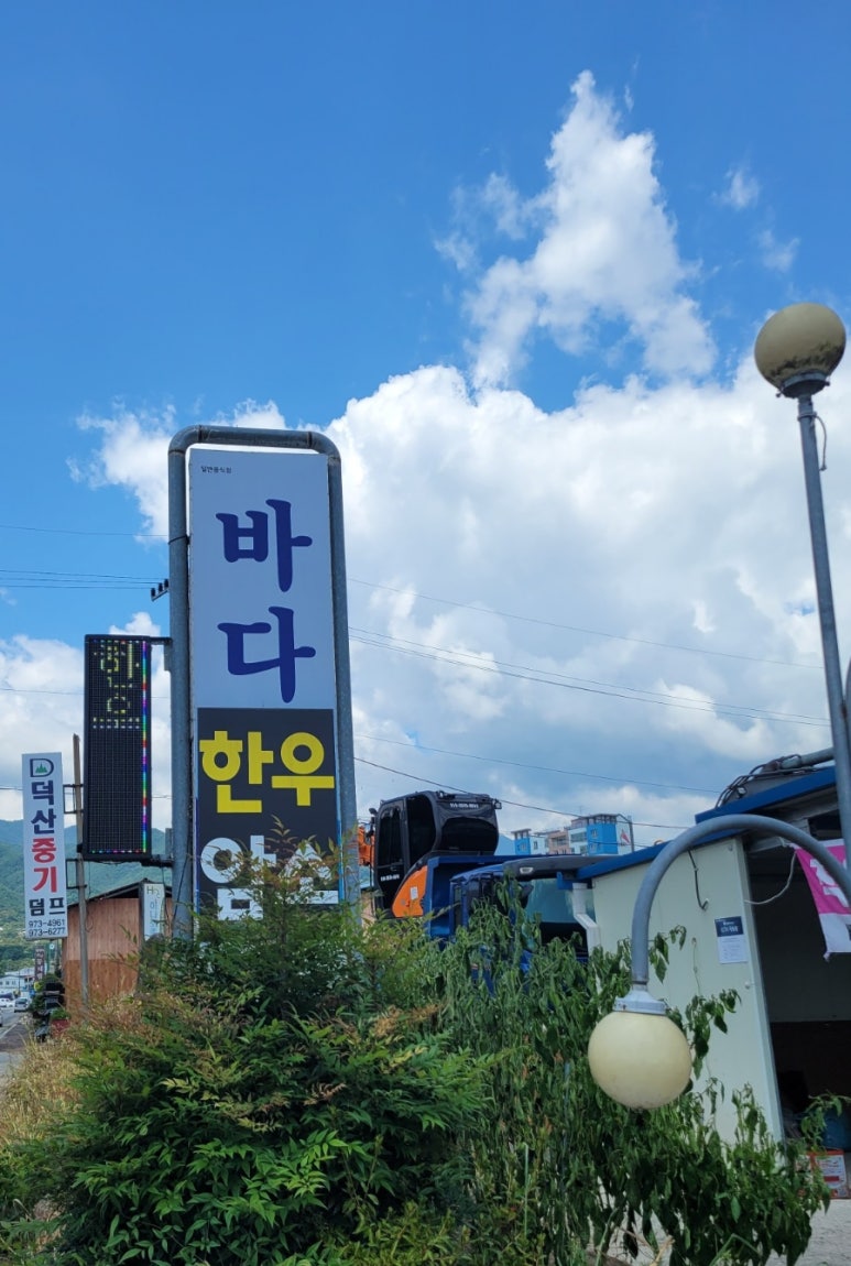 바다한우암소 이미지