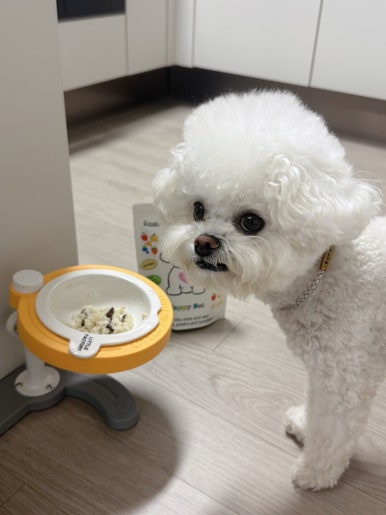 해피쿠키 이미지