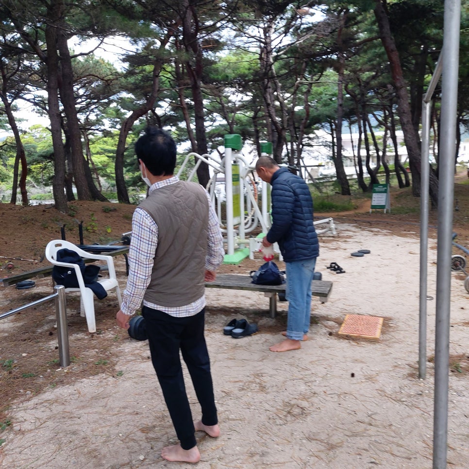 내몸살림 이미지