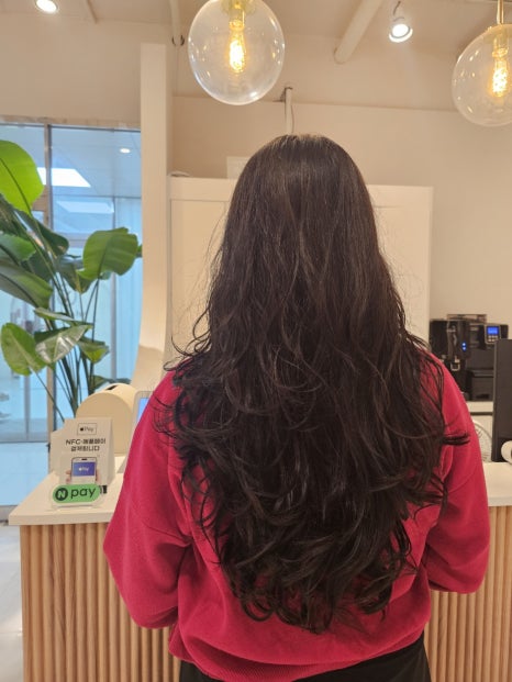 아코하롬헤어양주 이미지