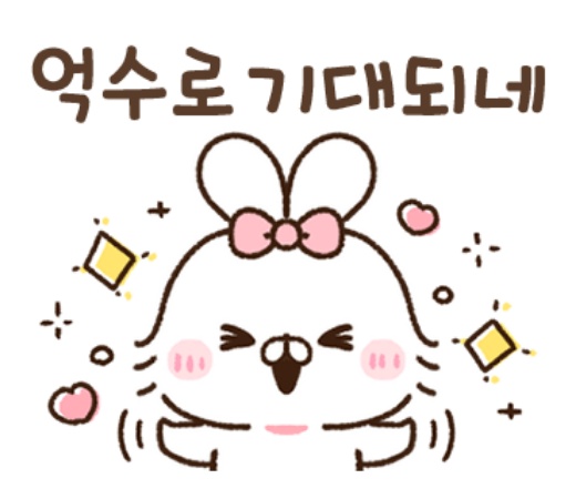 한올헤어 이미지