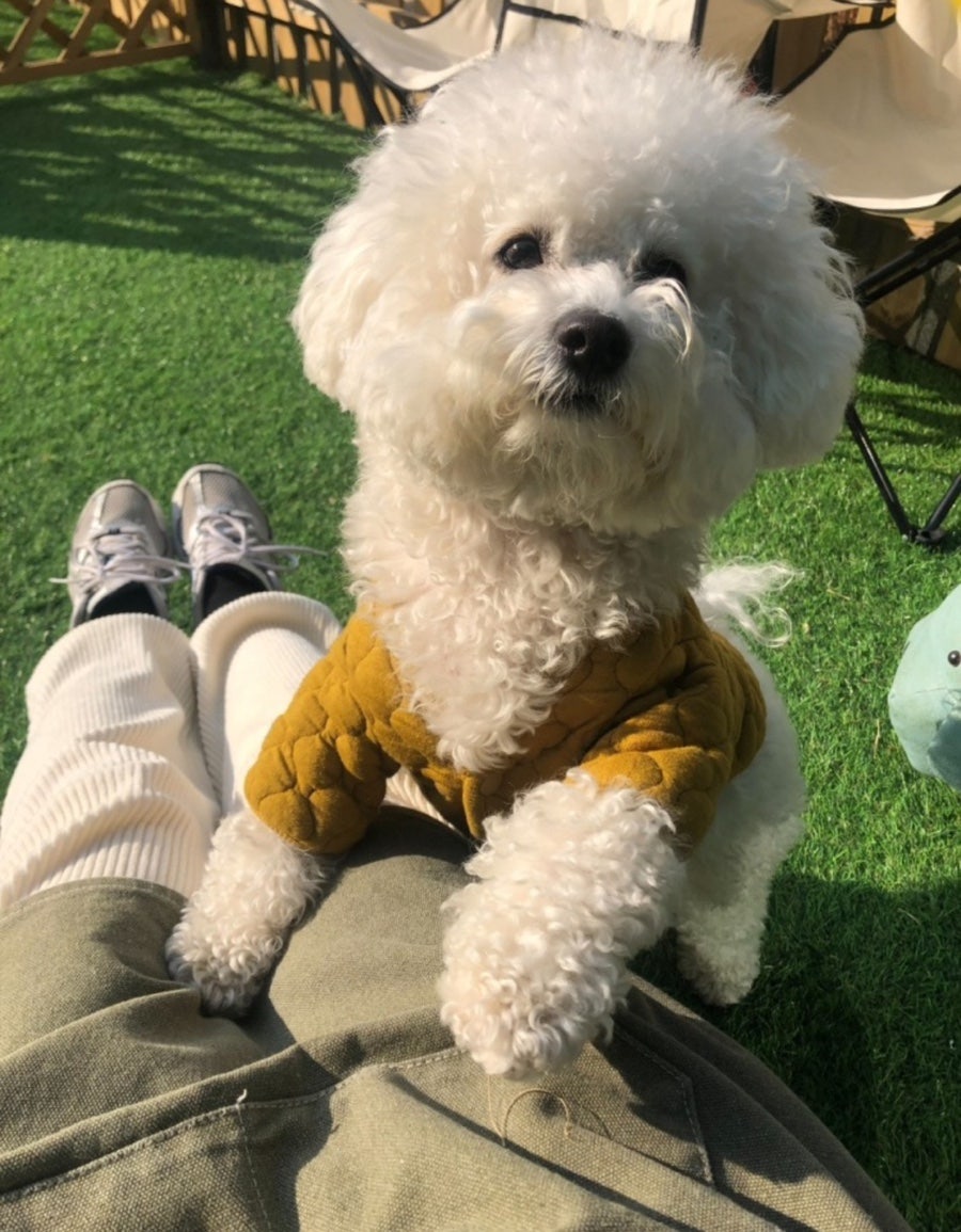 카페니치어은점 이미지