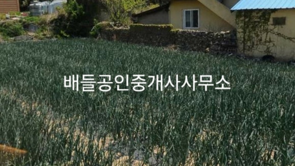 임자농협하나로마트 이미지