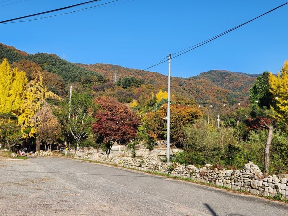 머물다삼포 이미지