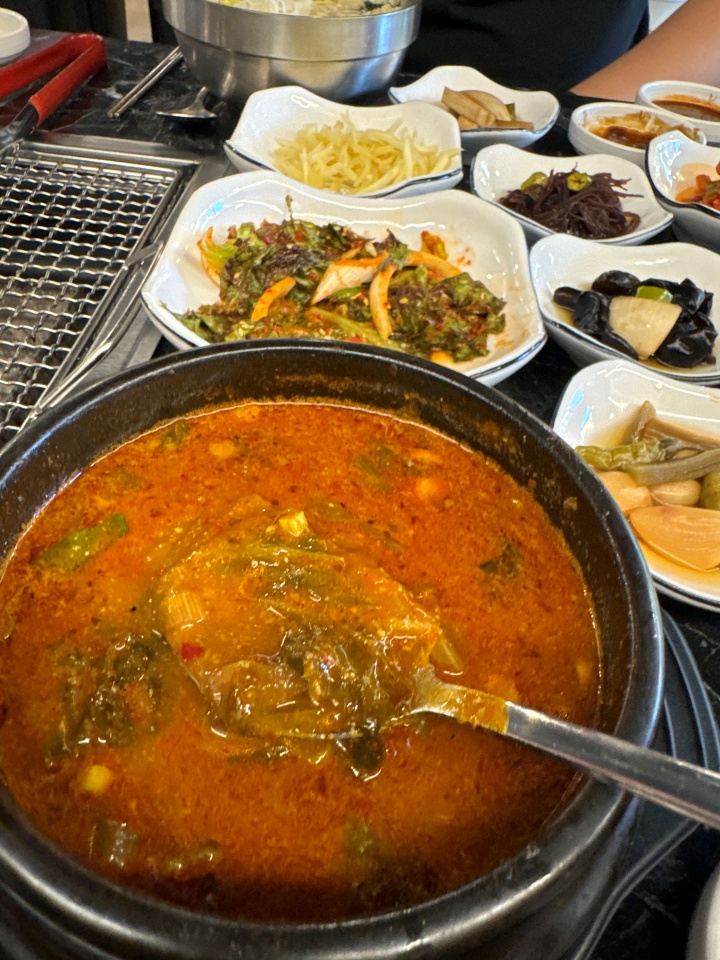 용마그집장어 이미지