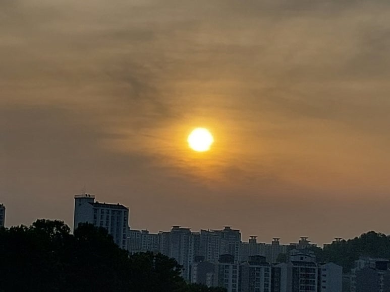영광공인중개사사무소 이미지