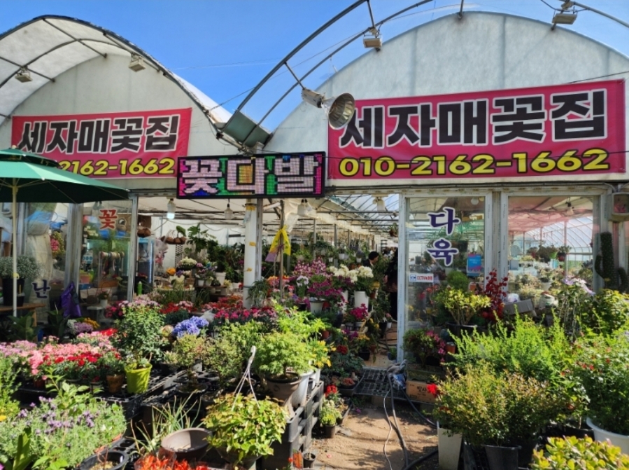 세자매꽃집 이미지