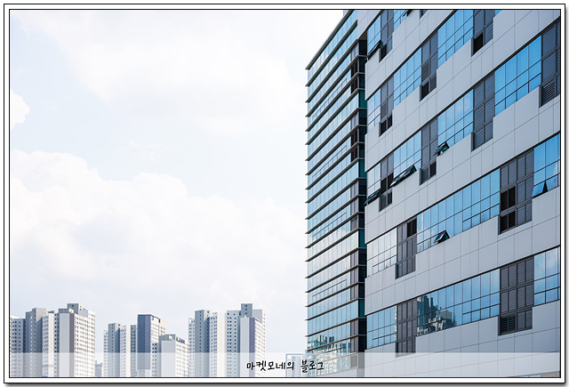 개미건설철거인력 이미지